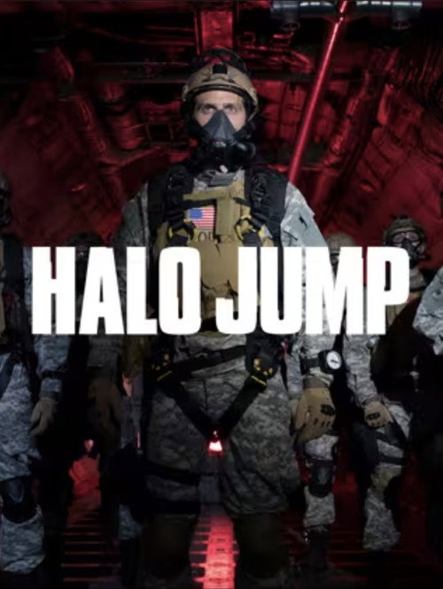 Movie poster for Godzilla: Into the Void - The H.A.L.O Jump (2014)