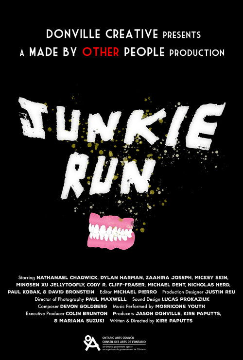 Junkie Run poster