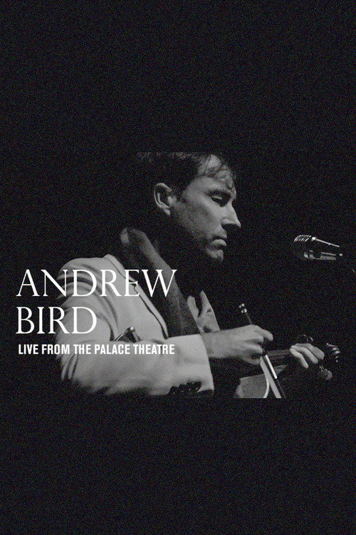 Movie poster for Andrew Bird: Live From The Palace Theatre (2019)