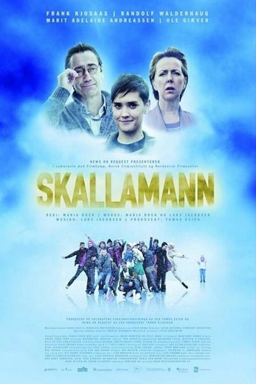Movie poster for Bald Guy (2011)