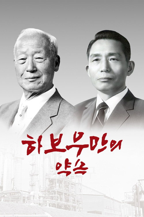 Movie poster for Habouman's Promise (2025)
