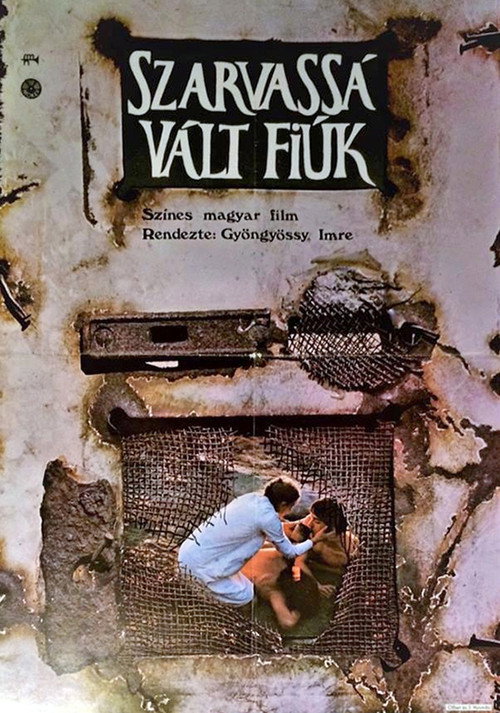 Movie poster for Sons of Fire (1973)