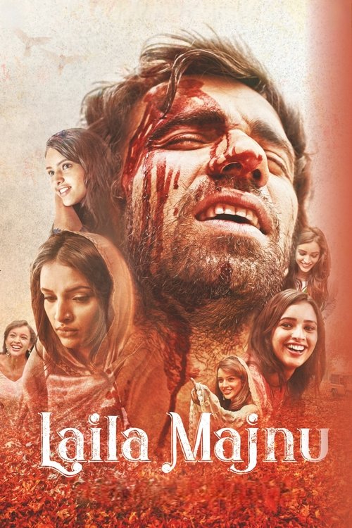 Movie poster for Laila Majnu (2018)