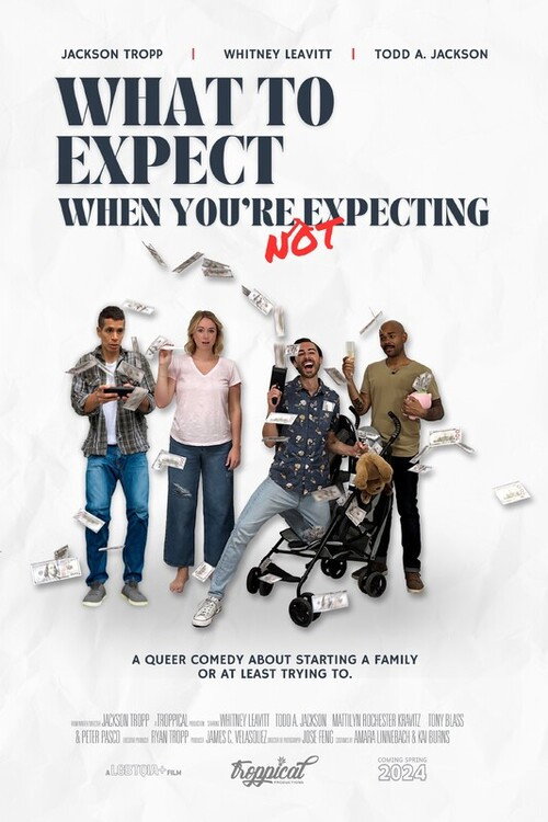 Movie poster for What to Expect When You're Not Expecting (2024)
