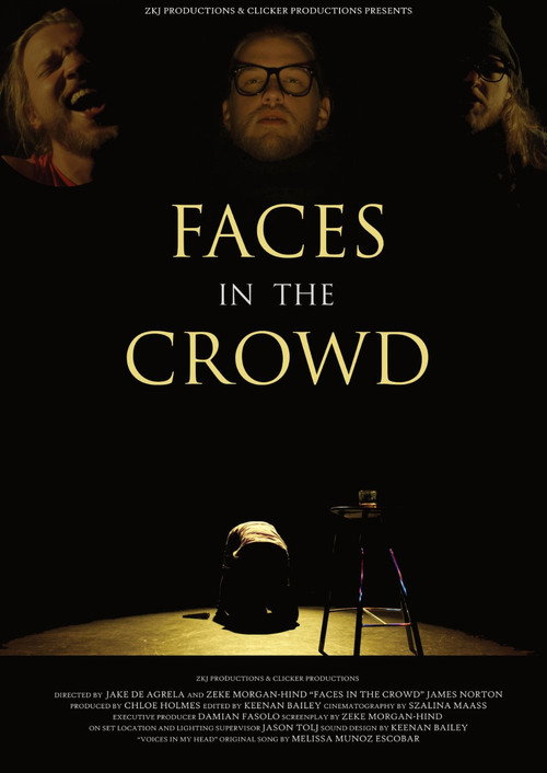 Movie poster for Faces in the Crowd (2018)