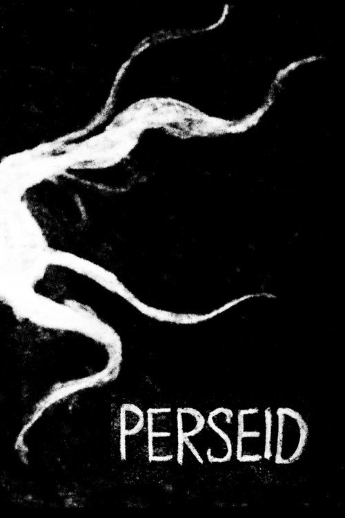 Movie poster for Perseid