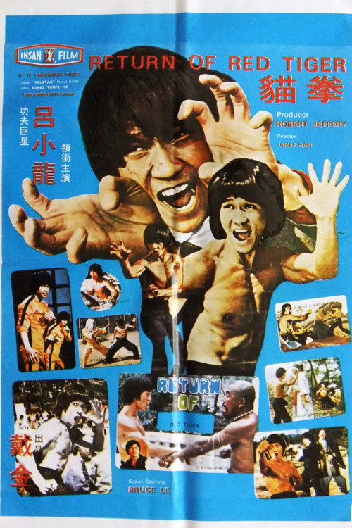 Movie poster for Return Of Red Tiger (1978)