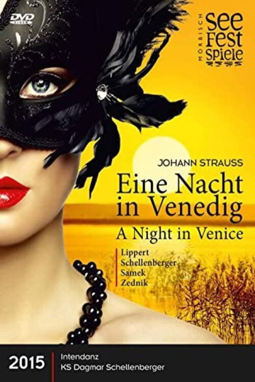 Movie poster for Eine Nacht in Venedig (2015)