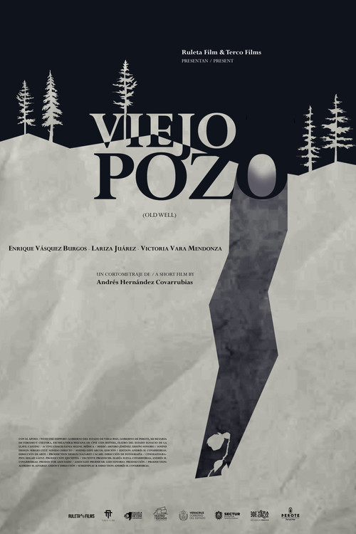 Movie poster for Old Well (2024)