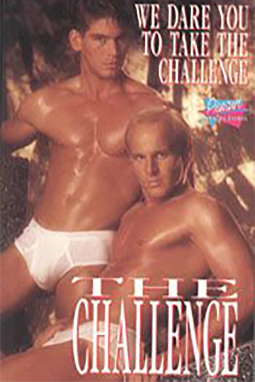 Movie poster for The Challenge (1993)