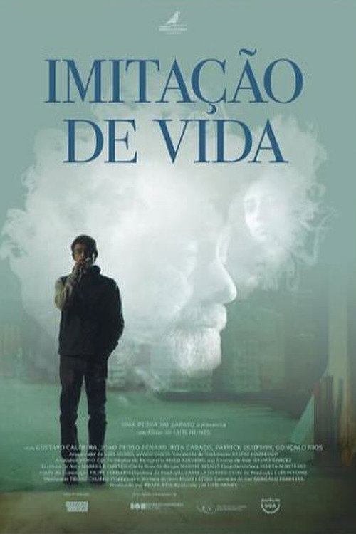 Movie poster for Imitação de Vida (2025)