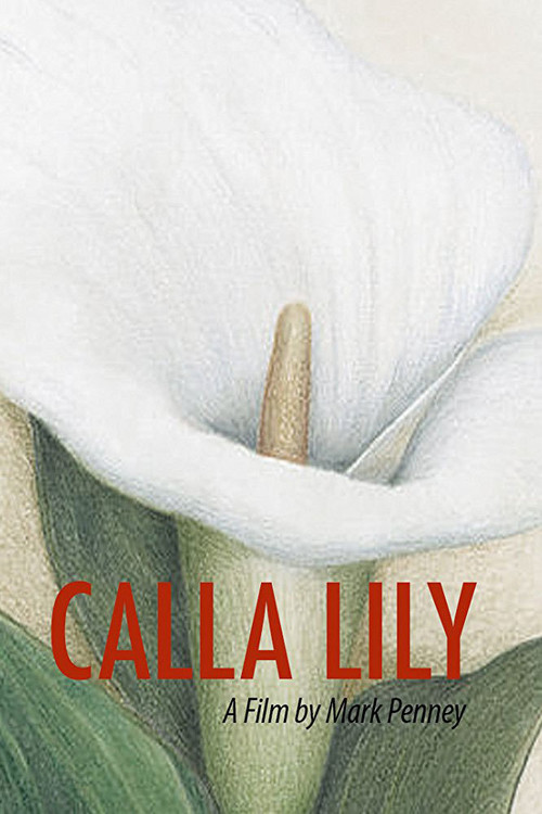 Movie poster for Calla Lily (2015)