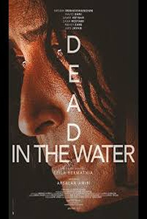 Movie poster for Dead in the Water (2025)