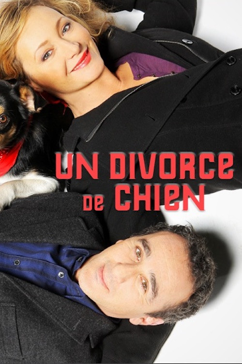 Movie poster for Un divorce de chien (2010)