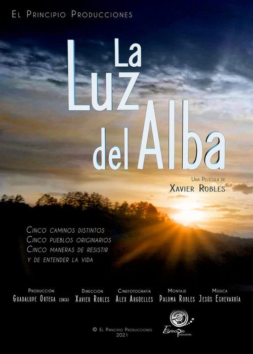 Movie poster for The Light Of Dawn (2021)