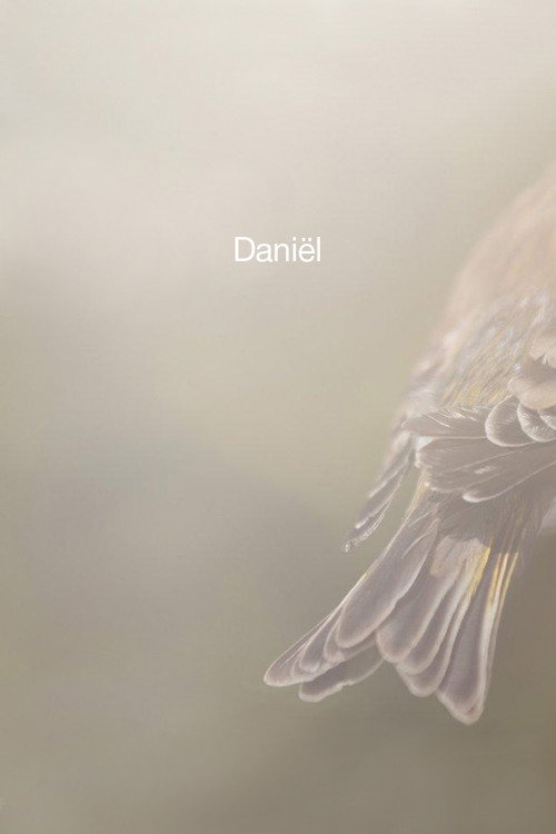 Movie poster for Daniël (2012)