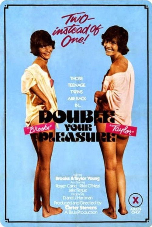 Movie poster for Double Your Pleasure (1978)