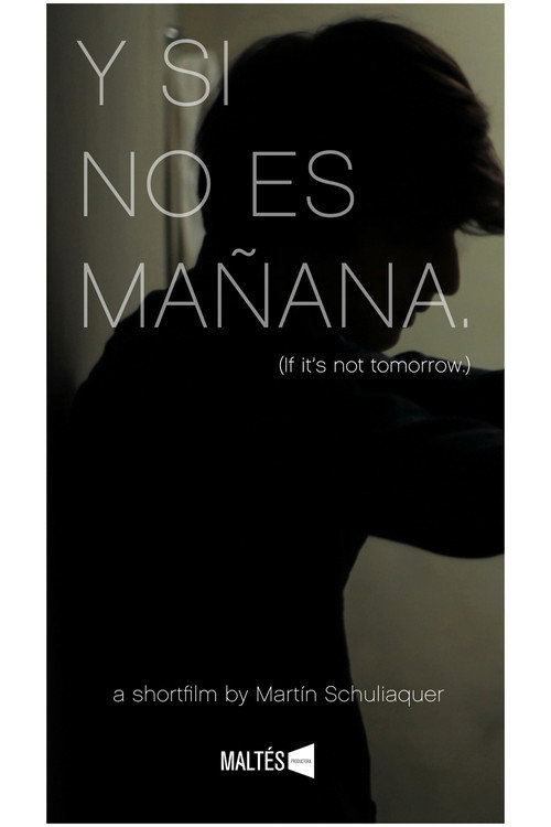 Movie poster for Y si no es mañana (2013)
