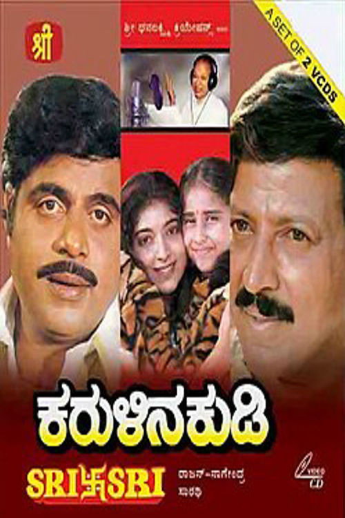 Movie poster for Karulina Kudi (1995)