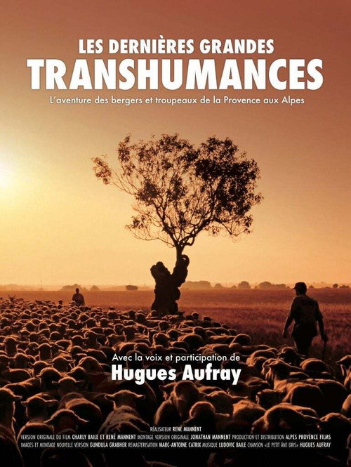 Movie poster for Les dernières grandes transhumances (2025)