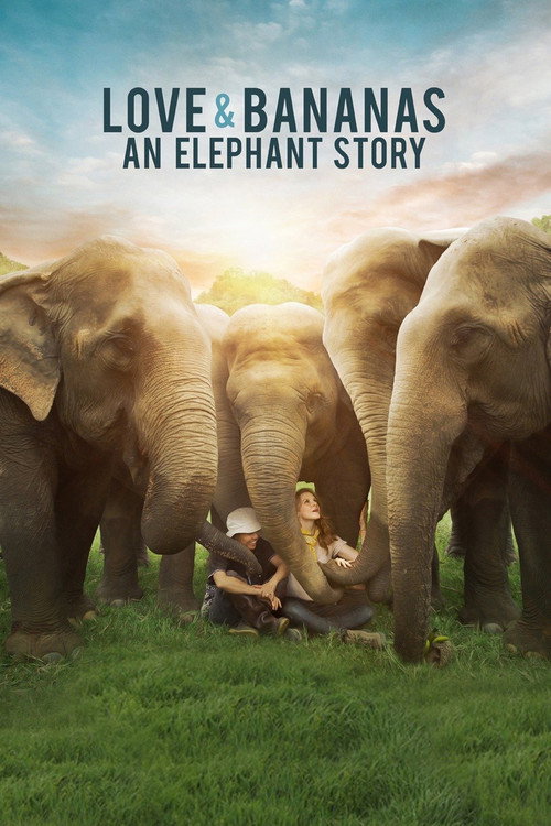Movie poster for Love & Bananas: An Elephant Story (2018)