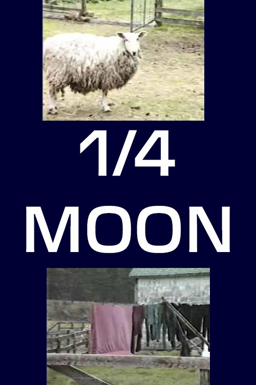 Movie poster for 1/4 Moon (1986)