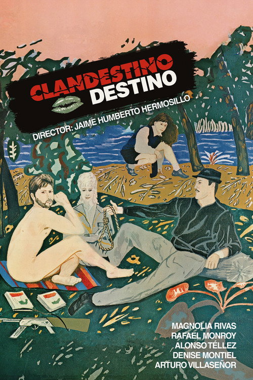 Movie poster for Clandestine Destiny (1987)