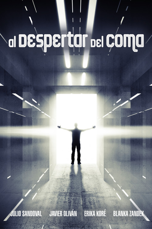 Movie poster for Waking Up From the Coma (2015)