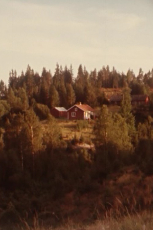 Movie poster for Glimtar (1975)