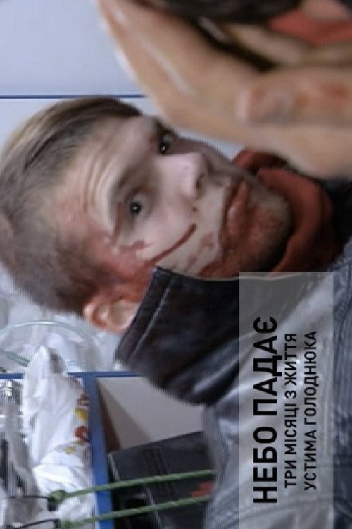 Movie poster for The Sky is Falling: Three Months in the Life of Ustym Holodnyuk (2017)