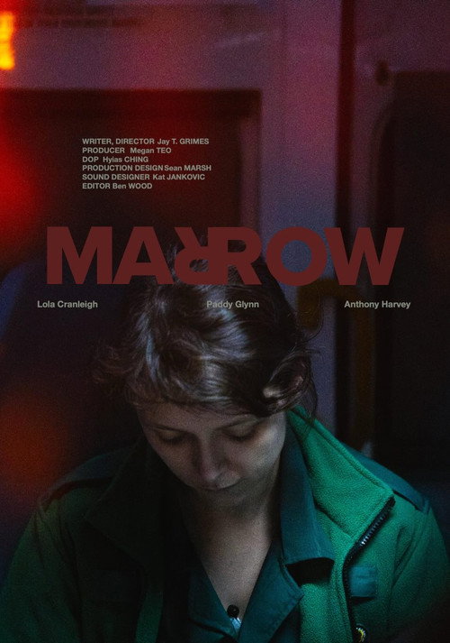 Movie poster for MARROW