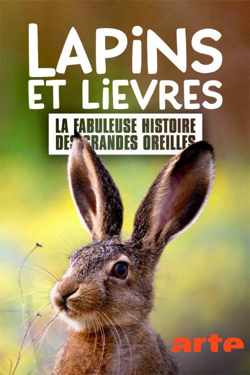 Movie poster for Lapins et lièvres - La Fabuleuse histoire des grandes oreilles (2020)