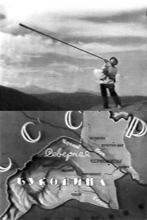 Movie poster for Bukovyna, Ukrainian Land (1939)