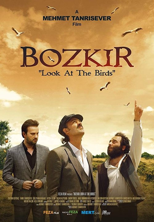 Movie poster for Bozkir "Look at the Birds" (2019)