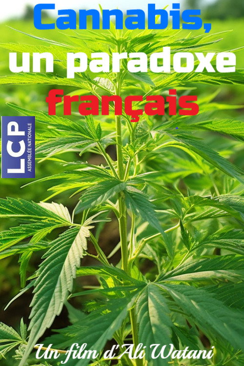 Movie poster for Cannabis, un paradoxe français (2025)