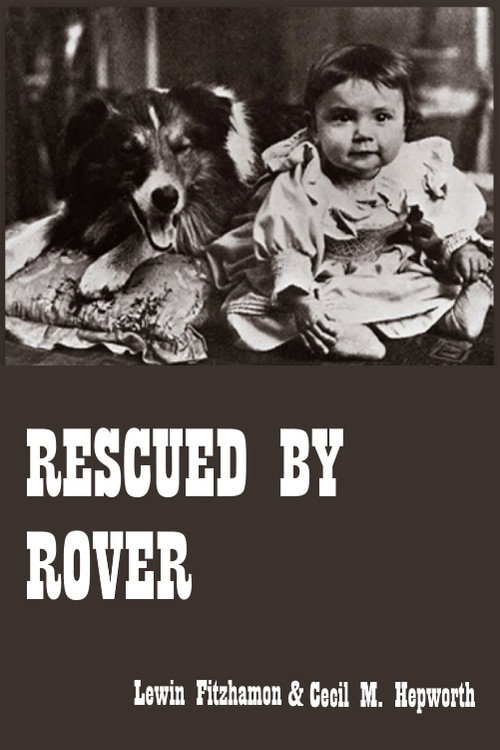 Movie poster for Rescued by Rover (1905)