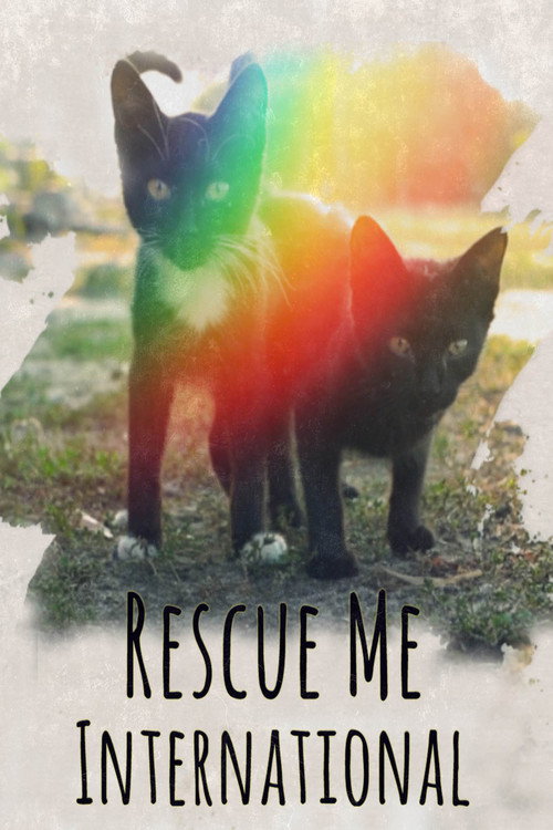 Movie poster for Rescue Me: International (2020)