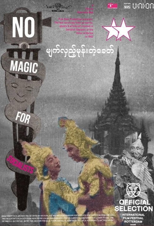 Movie poster for No Magic for Socialists (2025)