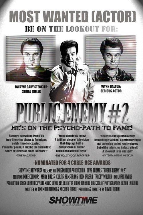 Movie poster for Public Enemy #2 (1991)