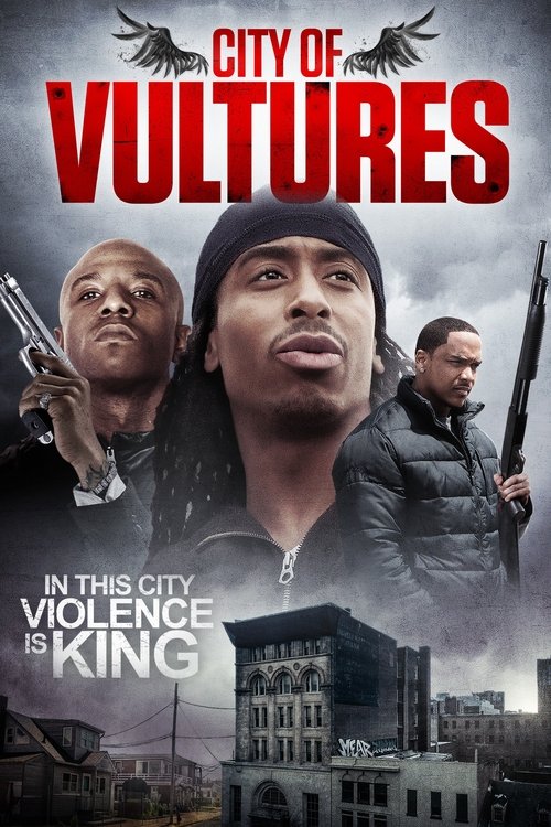 Movie poster for City of Vultures (2015)