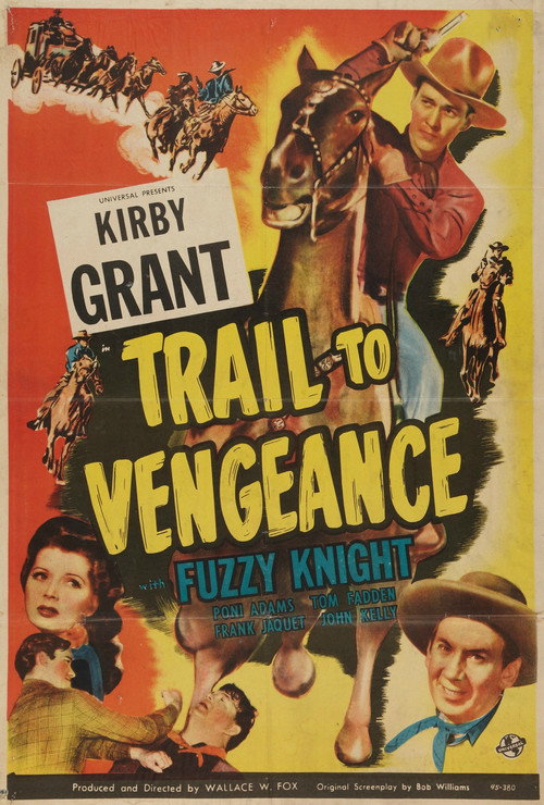 Movie poster for Trail to Vengeance (1945)