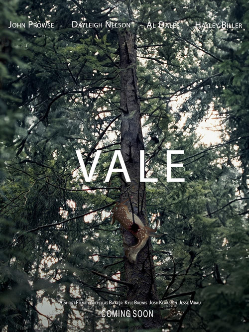 Movie poster for Vale (2023)