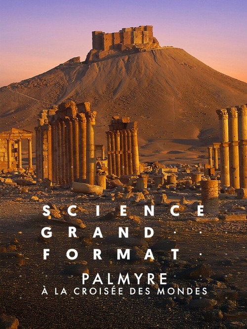 Movie poster for Palmyre, à la croisée des mondes (2024)