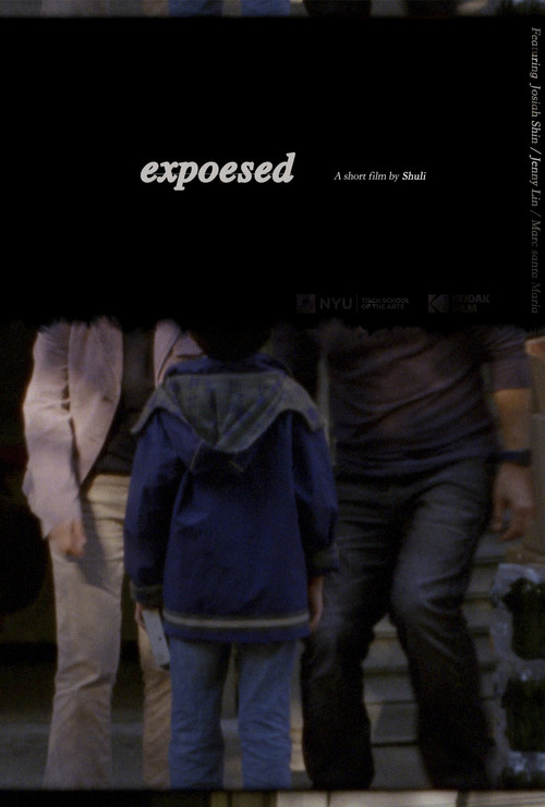 Movie poster for Exposed (2021)