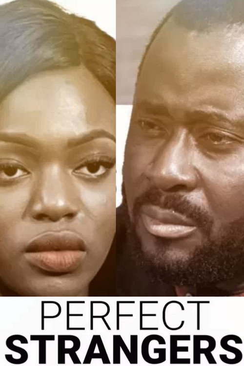 Movie poster for Perfect Strangers (2017)