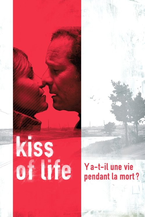 Movie poster for Kiss of Life (2003)
