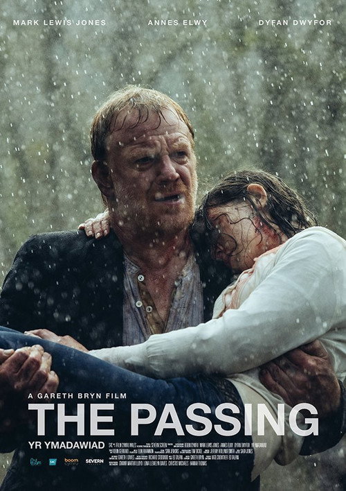 Movie poster for The Passing (2015)