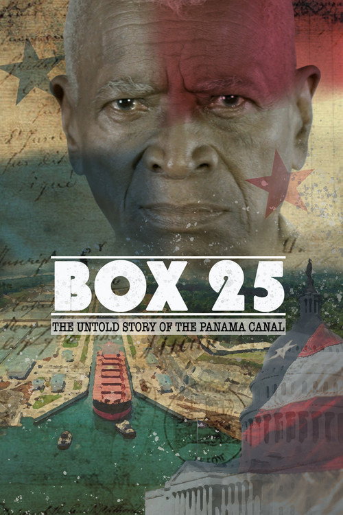Movie poster for Box 25 (2015)