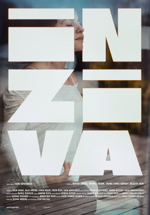Movie poster for Retreat (2025)