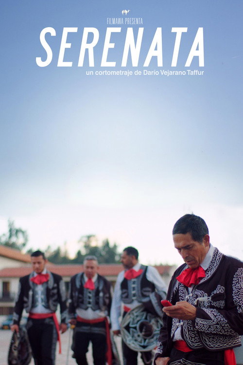 Movie poster for Serenade (2018)